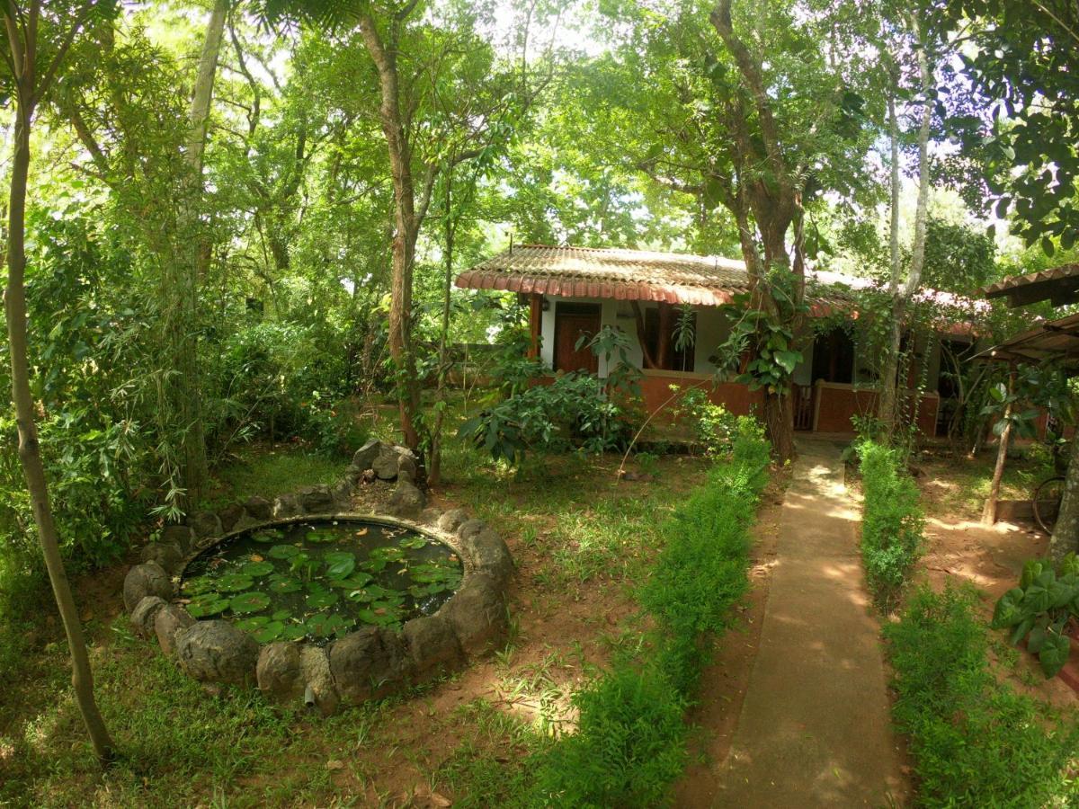 New Sisira Natural Lodge Sigiriya Exteriér fotografie